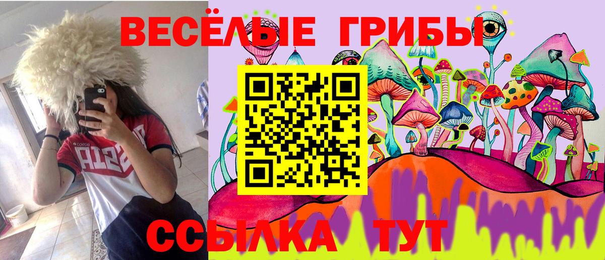 Псилоцибиновые грибы мицелий  Вход с VPN  Дедовск 
