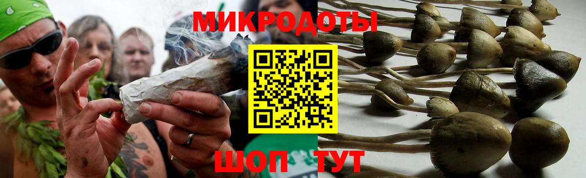 Галлюциногенные грибы MAGIC MUSHROOMS Дедовск
