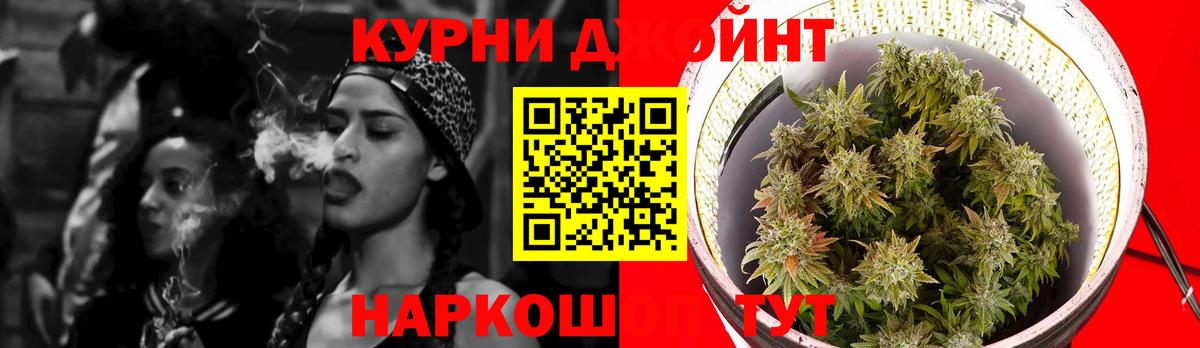 Бошки марихуана план  Конопля план  Вход с VPN  Дедовск  Каннабис VHQ 